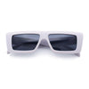 Womens Minimal Rectangle Cat Eye Retro Thick Plastic Urban Sunglasses