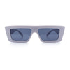 Womens Minimal Rectangle Cat Eye Retro Thick Plastic Urban Sunglasses