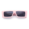 Womens Minimal Rectangle Cat Eye Retro Thick Plastic Urban Sunglasses
