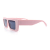 Womens Minimal Rectangle Cat Eye Retro Thick Plastic Urban Sunglasses