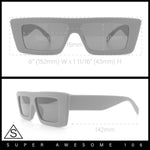 Womens Minimal Rectangle Cat Eye Retro Thick Plastic Urban Sunglasses