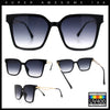 Womens Luxury Designer Inset Lens Metal Arm Horn Rim Plastic Fashion Sunglasses