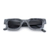 Small Thick Beveled Horn Rim Rectangle Plastic Mod Fashion Sunglasses
