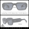 Mod Thick Plastic Minimal Plastic Retro Fashion Sunglasses