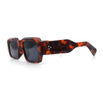 Mod Thick Plastic Minimal Plastic Retro Fashion Sunglasses