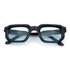 Retro Mod Narrow Rectangle Horn Rim Beveled Thick Plastic Sunglasses