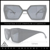 Womens Geometric Hexagon Thick Triangle Temple Mod Plastic Sunglasses