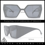 Womens Geometric Hexagon Thick Triangle Temple Mod Plastic Sunglasses