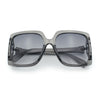 Womens Mod Designer Rectangular Butterfly Thick Plastic Fashion Sunglasses
