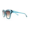 Womens Chic Thick Horn Cat Eye Elegant Thin Arm Plastic Sunglasses