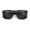 Classic Retro Oversized Horn Rim Hipster Plastic Rectangular Sunglasses