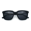 Gentlemanly Polarized Horn Rim Hipster Plastic Refined Fashion Sunglasses
