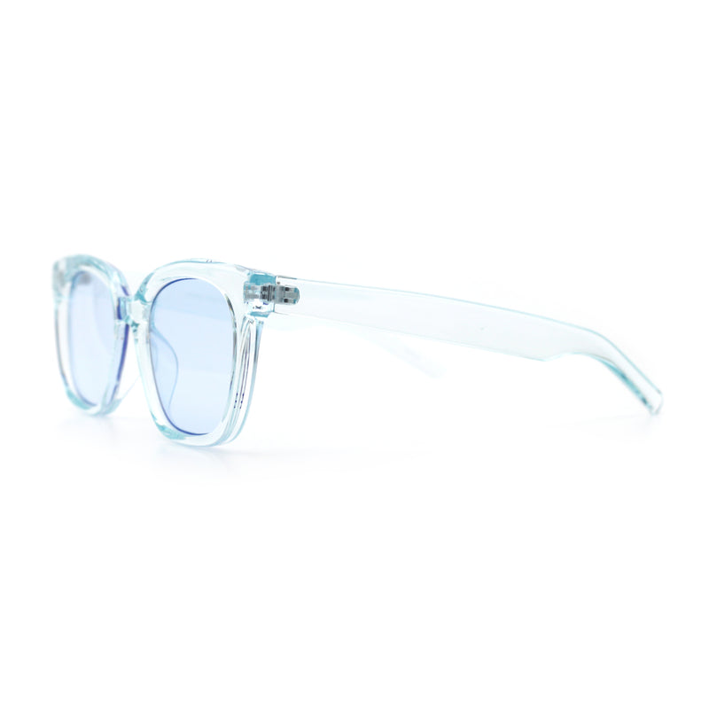 Feminine Simple Clean Minimal Plastic Horn Rim Retro Fashion Sunglasses
