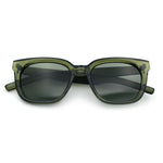 Feminine Simple Clean Minimal Plastic Horn Rim Retro Fashion Sunglasses