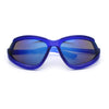 Swan Down Temple Curved Wrap Cat Eye Sport Plastic Sunglasses