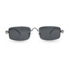 Narrow Rectangle Luxury Leopard Head Jewel Hinges Metal Rim Sunglasses