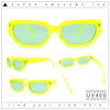 Womens Classic Mod Rectangular Cat Eye Plastic Fashion Sunglasses