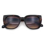 Womens Glitter Trim Oversized Cat Eye Luxe Plastic Sunglasses