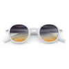 Vintage Vibe Hipster Fashion Round Plastic Horn Rim Sunglasses