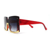 Womens Mod Luxury Squared Chic Plastic Fashion Sunglasses