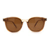 Stylish Inset Lens Horn Rim Retro Plastic Sunglasses