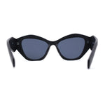 Womens Mod Geometric Angular Cat Eye Plastic Sunglasses