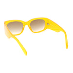 Womens Thick Temple Mod Fashion Rectangle Plastic Chic Sunglasses