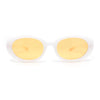 Womens Classic Clout Oval Mod Round Plastic Retro Sunglasses