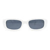 Iconic Mod Rounded Rectangular Minimal Plastic Sunglasses