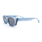 Womens Retro Sleek Beveled Thick Plastic Lustrous Squared Cat Eye Sunglasses